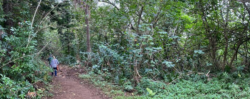 th IMG 2486 IMG 2487