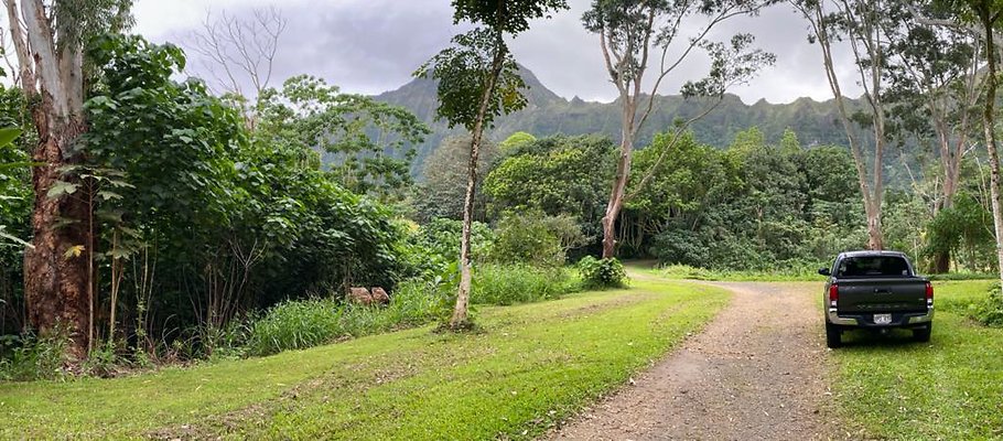 th IMG 3478 IMG 3481