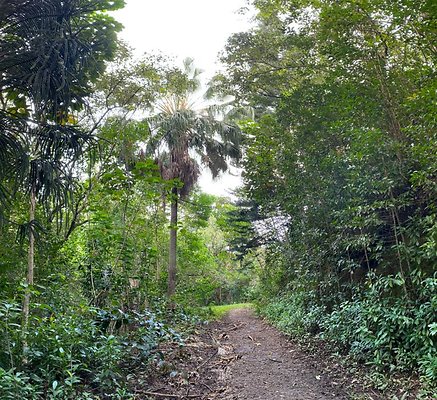 th IMG 2501 IMG 2506