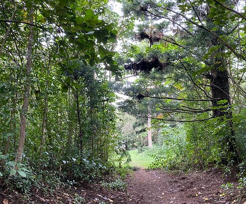 th IMG 2565 IMG 2566