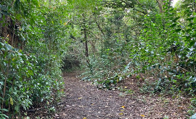 th IMG 2524 IMG 2527