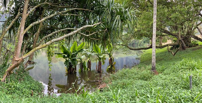 th IMG 3176 IMG 3187