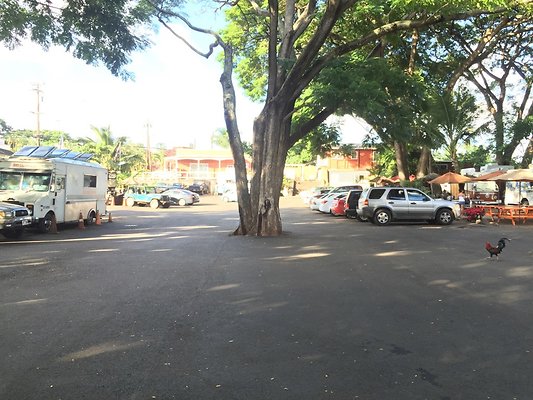 HI50 S6 2015-12-15 15.57.08