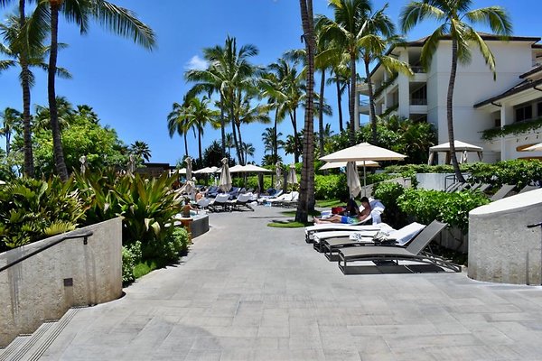 th Four Seasons Pools • 1252