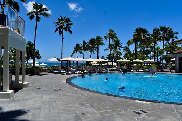 th Four Seasons Pools • 1317