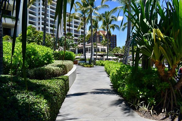 th Four Seasons Pools • 1308