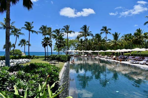 th Four Seasons Pools • 1302