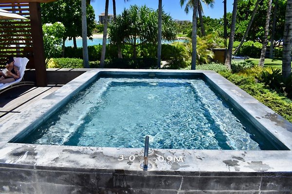 th Four Seasons Pools • 1305