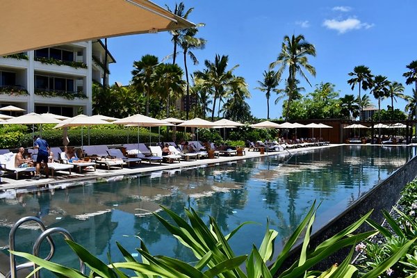 th Four Seasons Pools • 1284