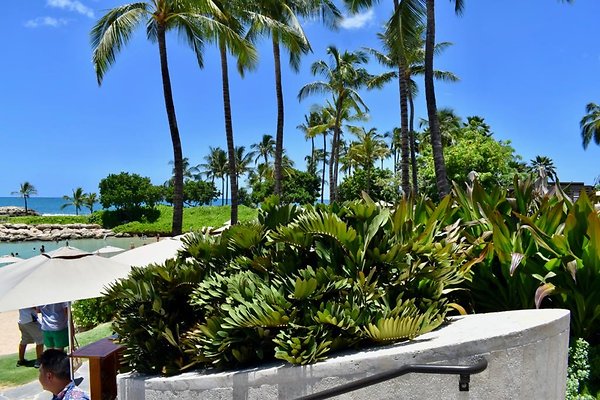 th Four Seasons Pools • 1251