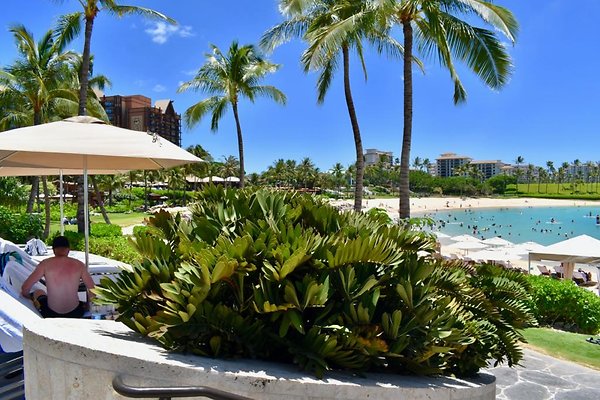 th Four Seasons Pools • 1249