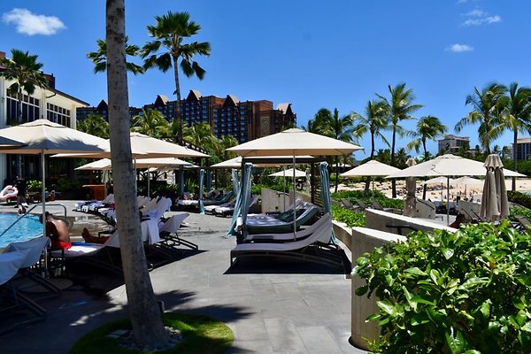 th Four Seasons Pools • 1316