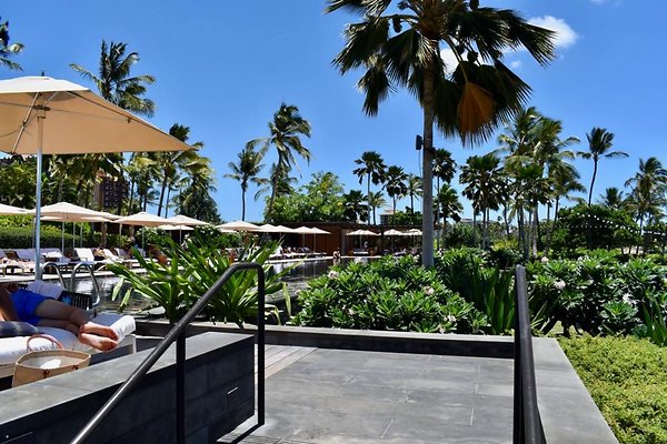 th Four Seasons Pools • 1297