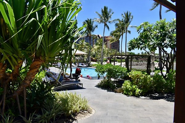 th Four Seasons Pools • 1265