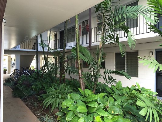 HI50 S5 KonTiki 2014-11-18 15.25.52