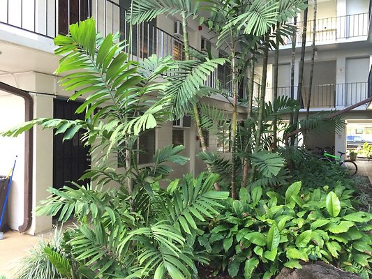 HI50 S5 KonTiki 2014-11-18 15.25.42