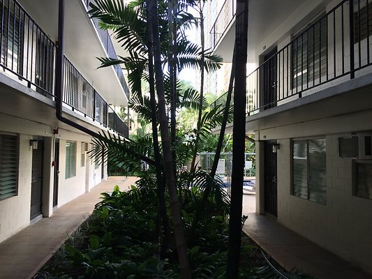 HI50 S5 KonTiki 2014-11-18 15.26.59