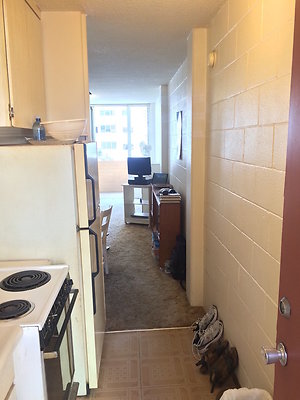 HI50 S5 EbbTide 2014-11-18 14.55.13