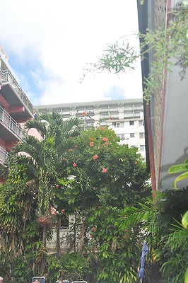 HI50 S5 RoyalGroveHotelDSC 0071