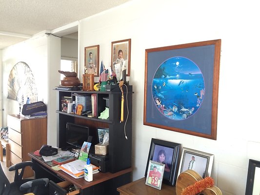 HI50 S5 Poinsiena APT3052014-12-09 12.42.56