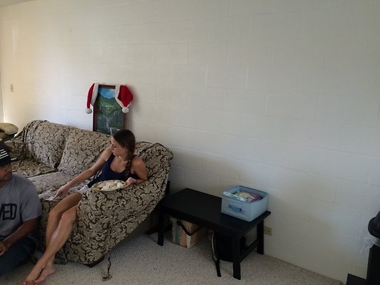 HI50 S5 Poinsiena APT1032014-12-09 12.33.49