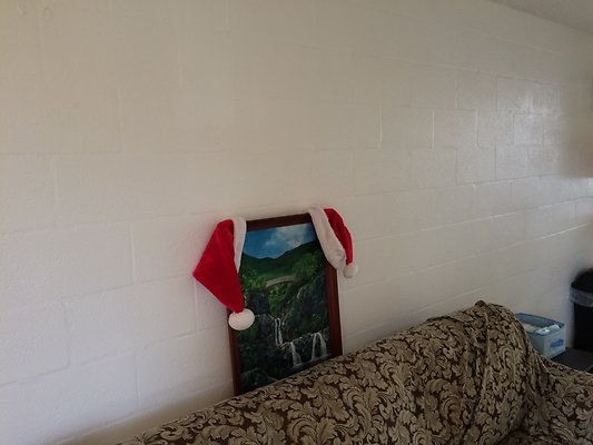 HI50 S5 Poinsiena APT1032014-12-09 12.34.07