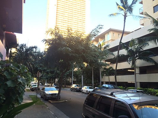 Waikiki Cove