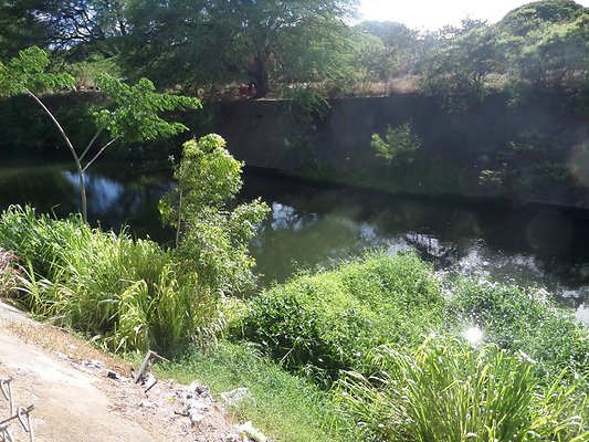 th SAM 1087 - SAMSUNG CAMERA PICTURES