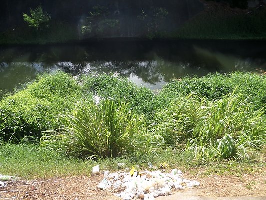 th SAM 1085 - SAMSUNG CAMERA PICTURES