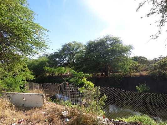 th SAM 1089 - SAMSUNG CAMERA PICTURES