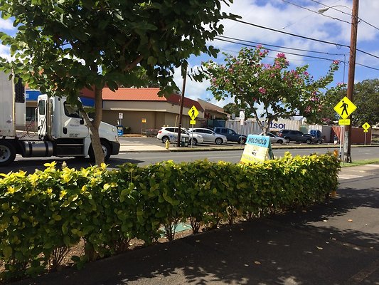 HI50 S5 HoloholoGrill 2014-11-21 12.41.51