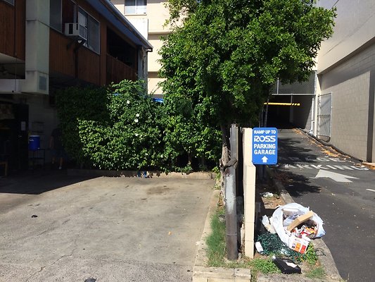 HI50 S5 Yamagen 2014-11-21 14.04.59