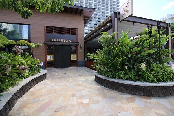 Stripsteak 2330 Kalakaua Ave #300 JORDYN ORIOLE 808.342.5018