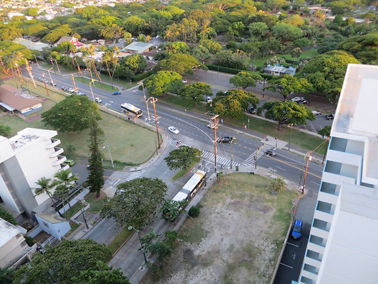 Crescent Park- 2575 Kuhio ave- David Hatcher- 923.0875