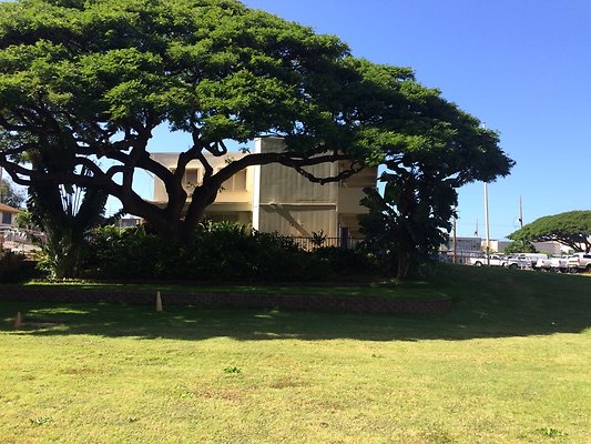 HI50 S5 21LiliuokalaniElementary