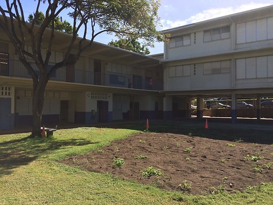 HI50 S5 11LiliuokalaniElementary