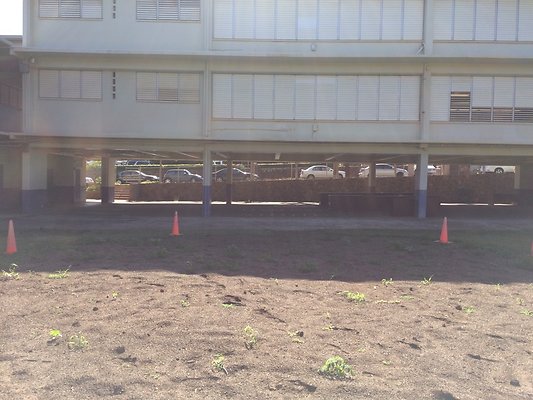 HI50 S5 18LiliuokalaniElementary