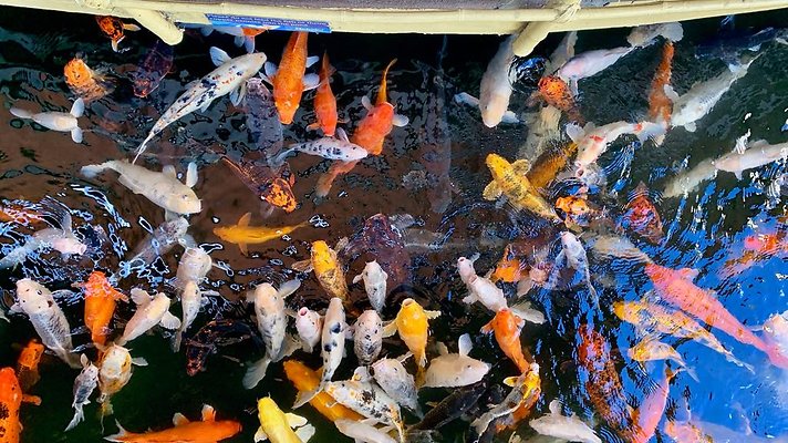 th 2019-10-03 10-41-33-1000