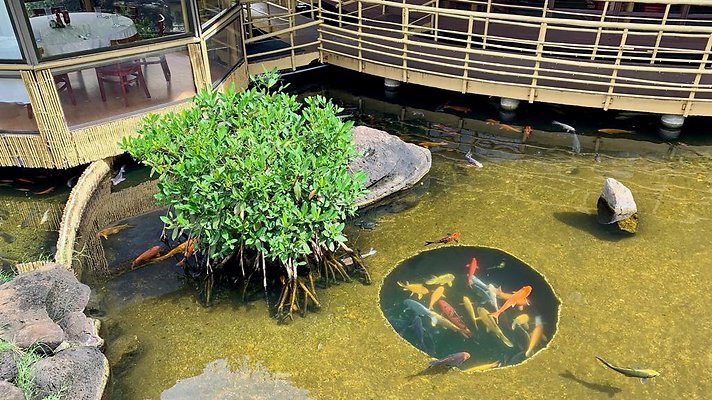 th 2019-10-03 10-29-37-1000