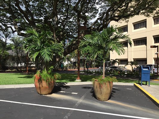 HI50 S6 2015-08-18 15.38.22