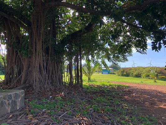 th Photo Sep 19, 3 44 36 PM