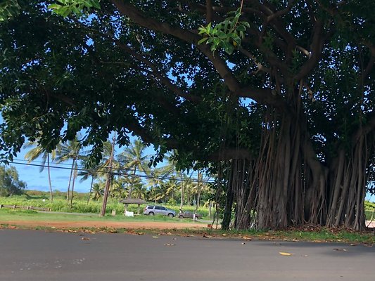 th Photo Sep 19, 3 43 08 PM