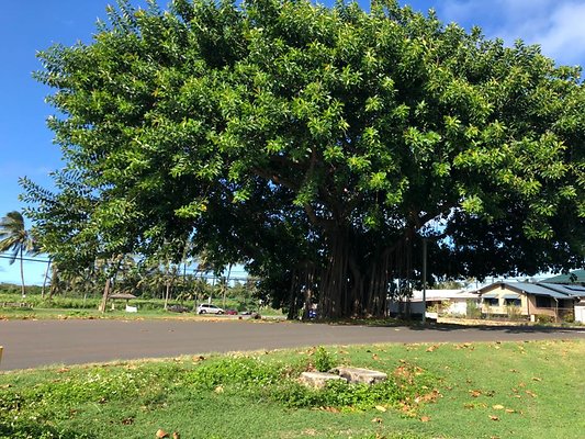 th Photo Sep 19, 3 42 54 PM