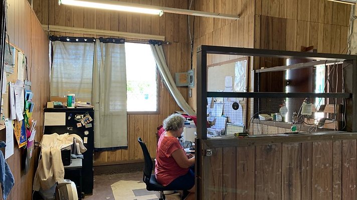 th 2019-09-04 12-39-34-1000