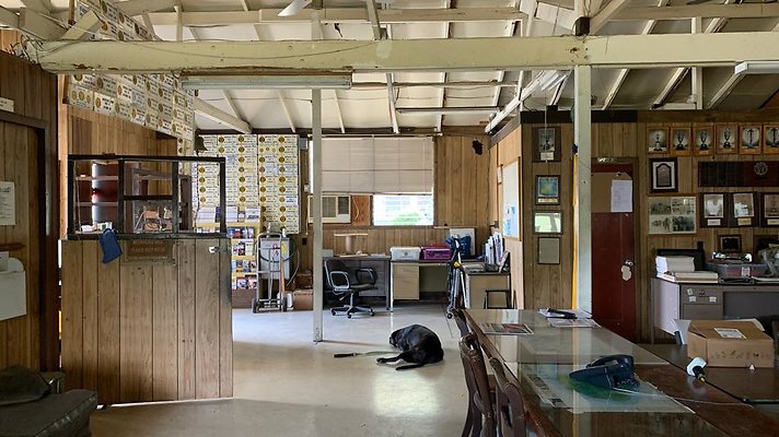 th 2019-09-04 12-38-12-1000