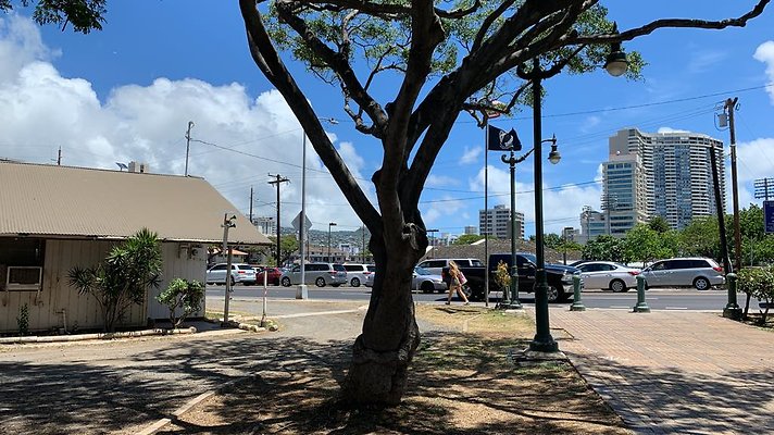 th 2019-09-04 12-30-50-1000