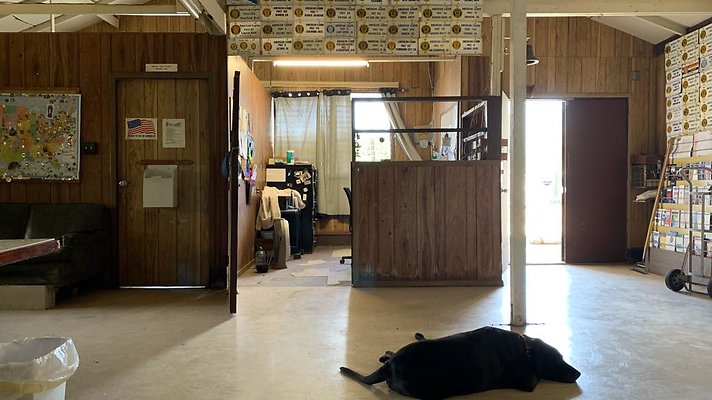 th 2019-09-04 12-39-15-1000