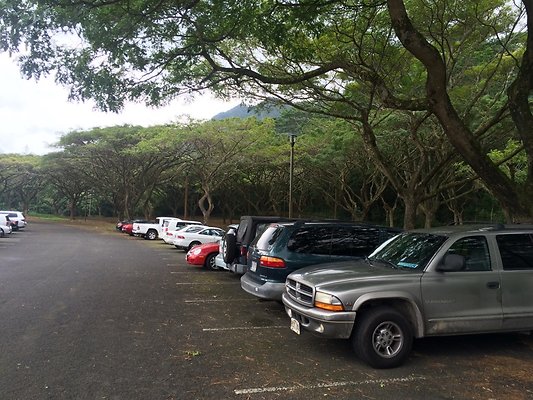 HI50 S5 2015-01-29 14.44.14