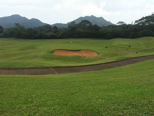 HI50 S5 2015-01-29 14.33.42