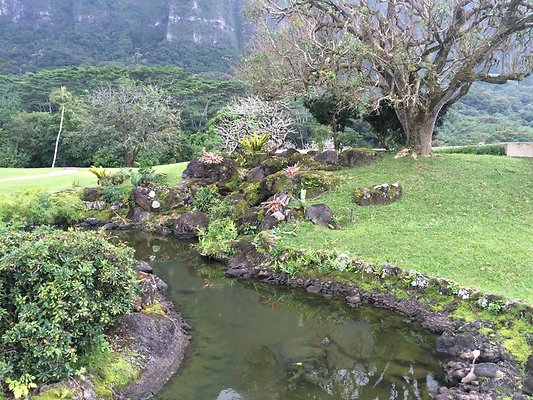 HI50 S5 2015-01-29 14.30.22